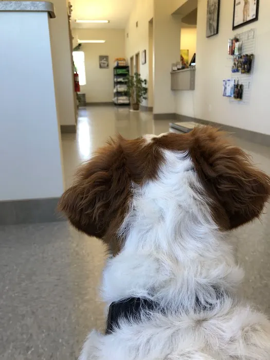 Maple Lake Veterinary Clinic Picture 10
