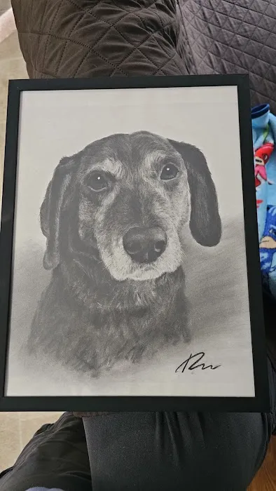 All Paws Vet Clinic Picture 7