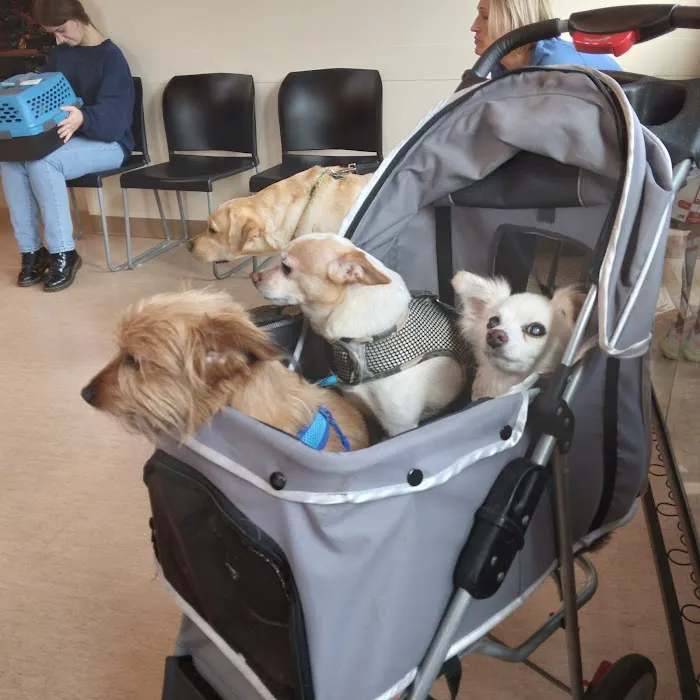 Newberg Veterinary Hospital Picture 5