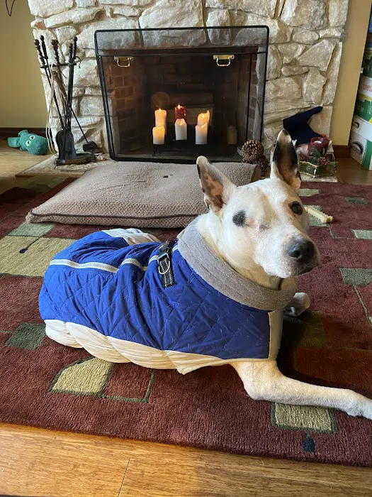 Newberg Veterinary Hospital Picture 8