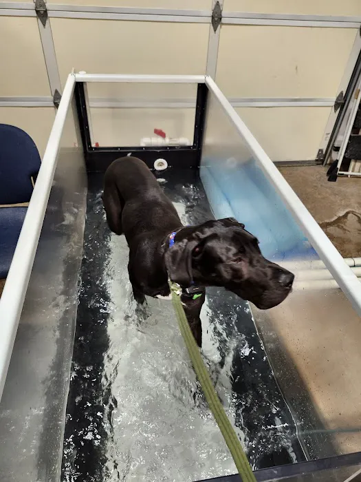 Newberg Canine Rehab Center Picture 5