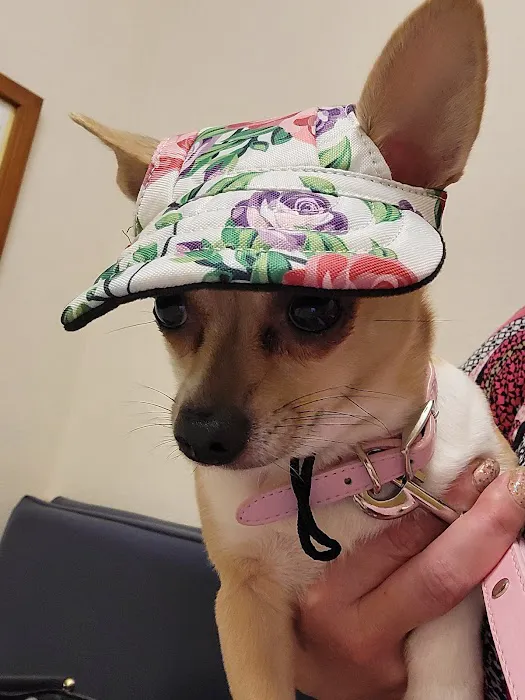 Family Pet Clinic Picture 2