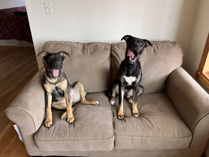 Family Pet Clinic Picture 1