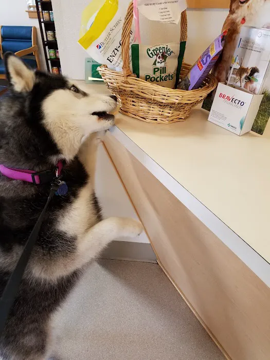 Family Pet Clinic Picture 9