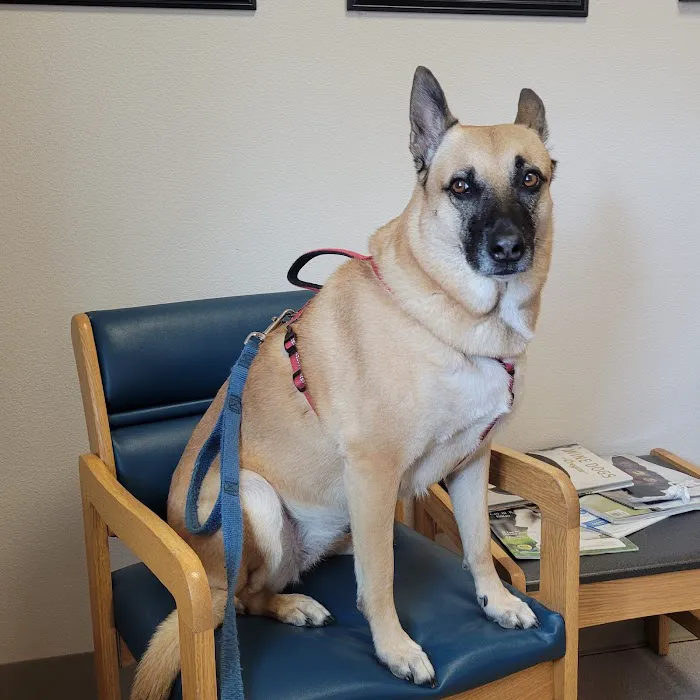 Family Pet Clinic Picture 10