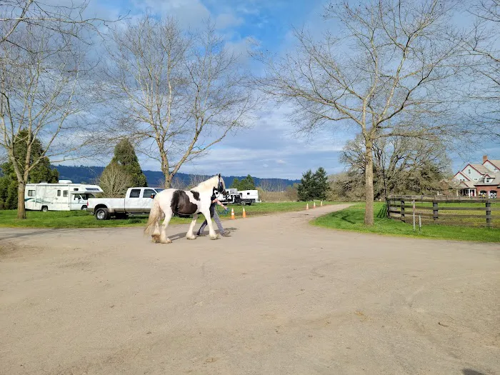 Oakhurst Equine Veterinary Services Picture 1