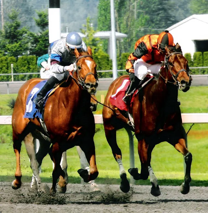 Oakhurst Equine Veterinary Services Picture 6