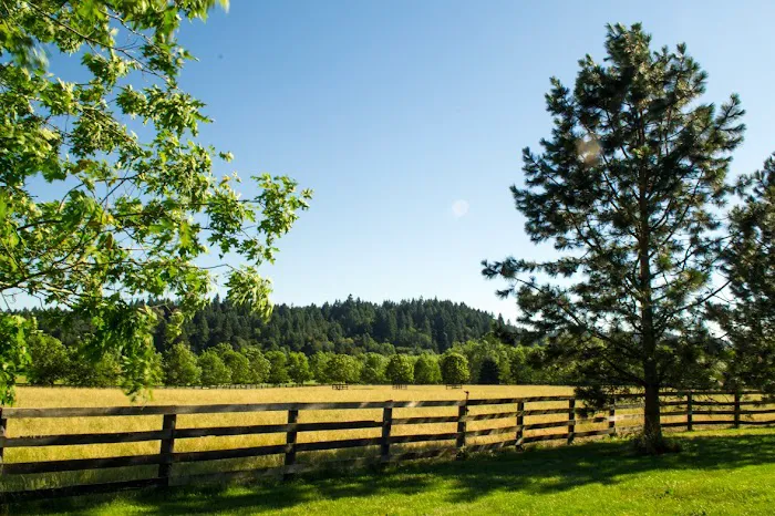 Oakhurst Equine Veterinary Services Picture 7