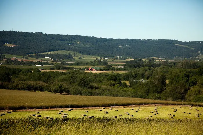 Oakhurst Equine Veterinary Services Picture 9