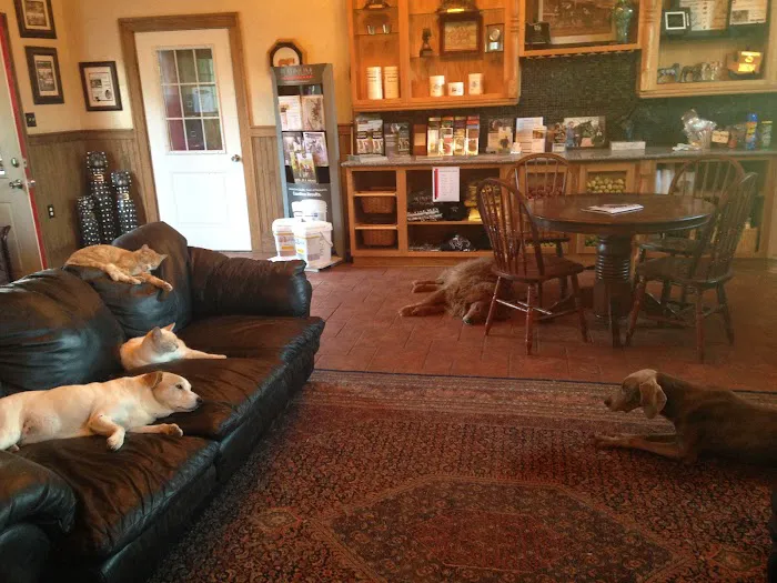 Oakhurst Equine Veterinary Services Picture 8
