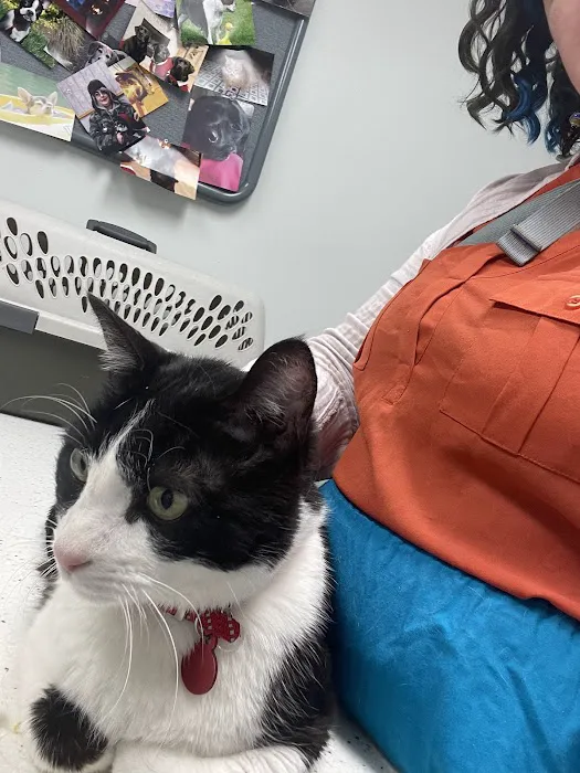 Hoffman Veterinary Clinic Picture 8
