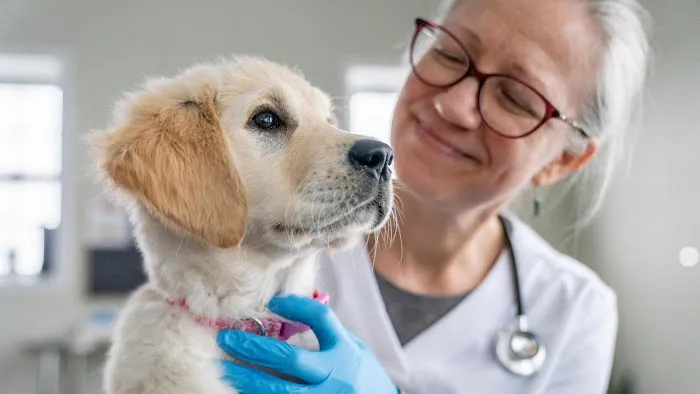 Banfield Pet Hospital Picture 1