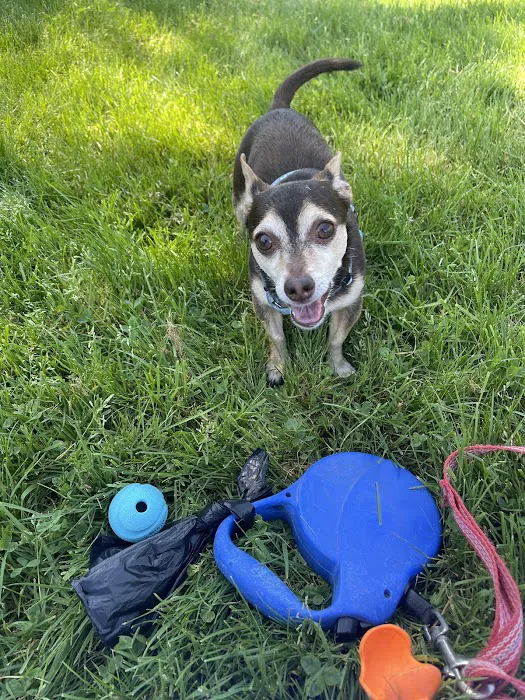 Banfield Pet Hospital Picture 9