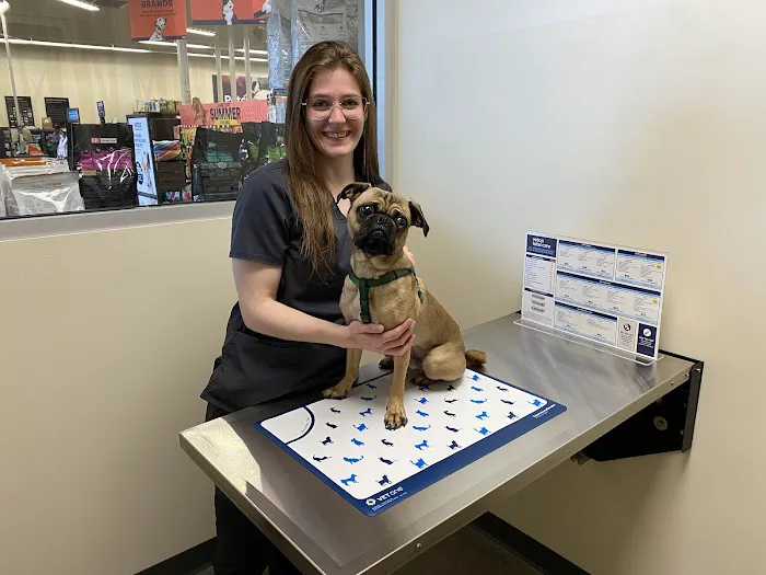 Vetco Total Care Animal Hospital Picture 3