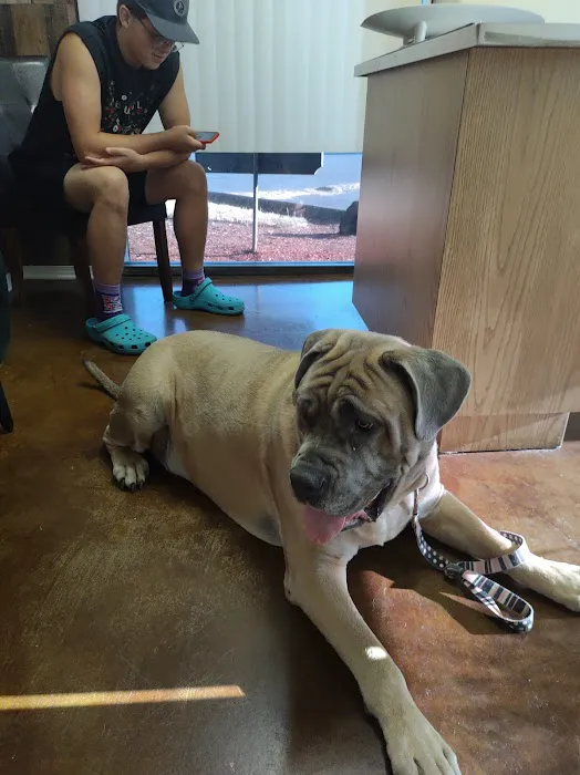 Evergreen Veterinary Hospital Picture 2