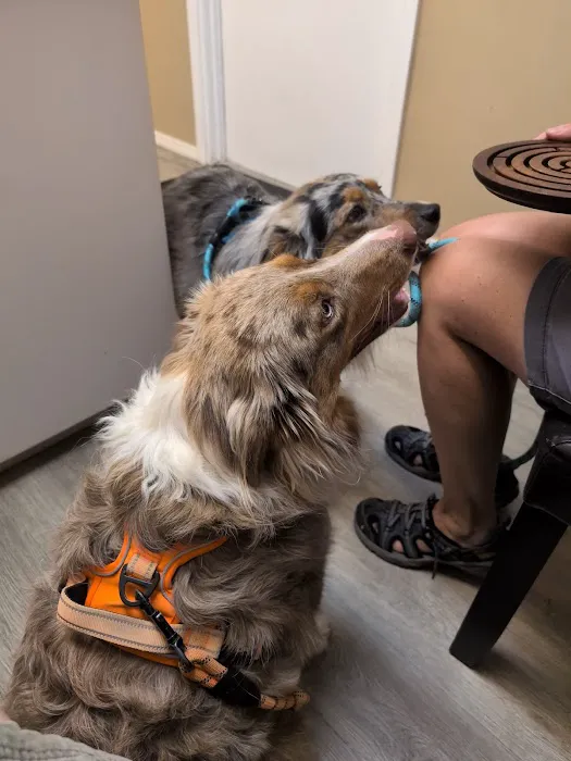 Evergreen Veterinary Hospital Picture 10