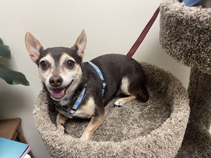 Vetco Total Care Animal Hospital Picture 5
