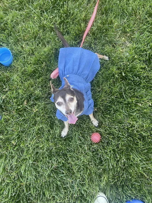 Vetco Total Care Animal Hospital Picture 6