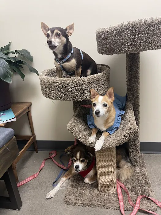 Vetco Total Care Animal Hospital Picture 7