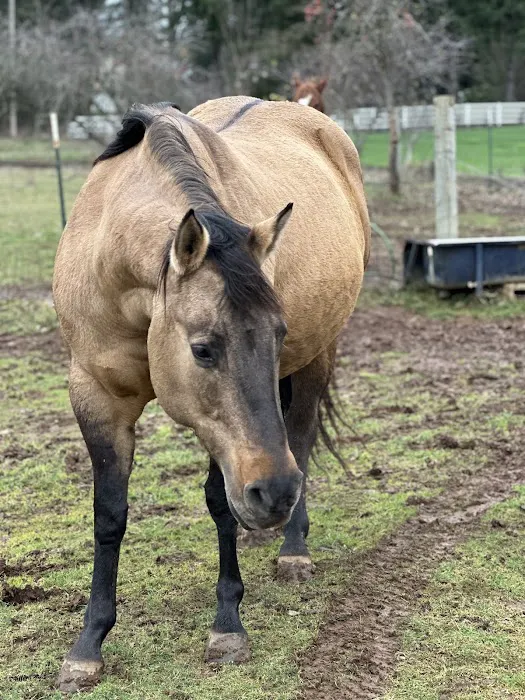 Summit Equine, Inc. Picture 1