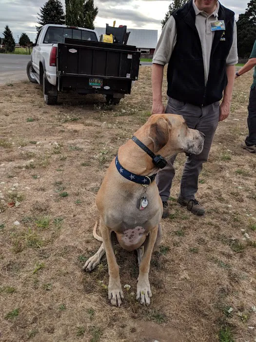 Veterinary Services of Oregon Picture 6