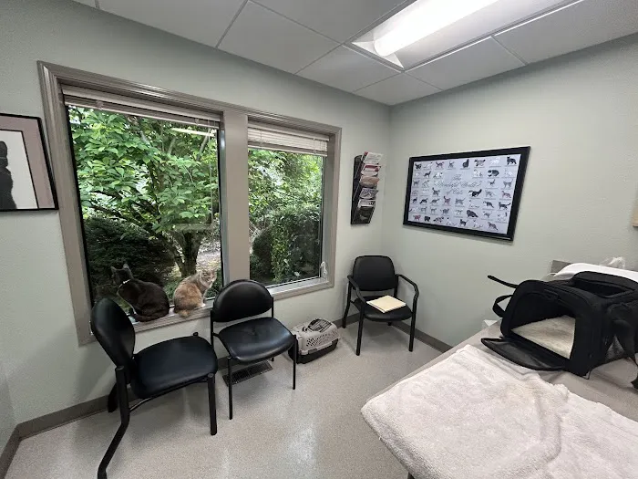 Creekside Veterinary Clinic Picture 8