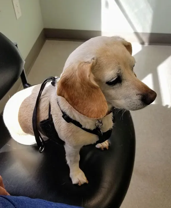 Creekside Veterinary Clinic Picture 9