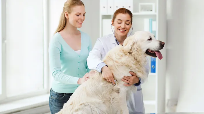 Scio Animal Clinic Picture 1
