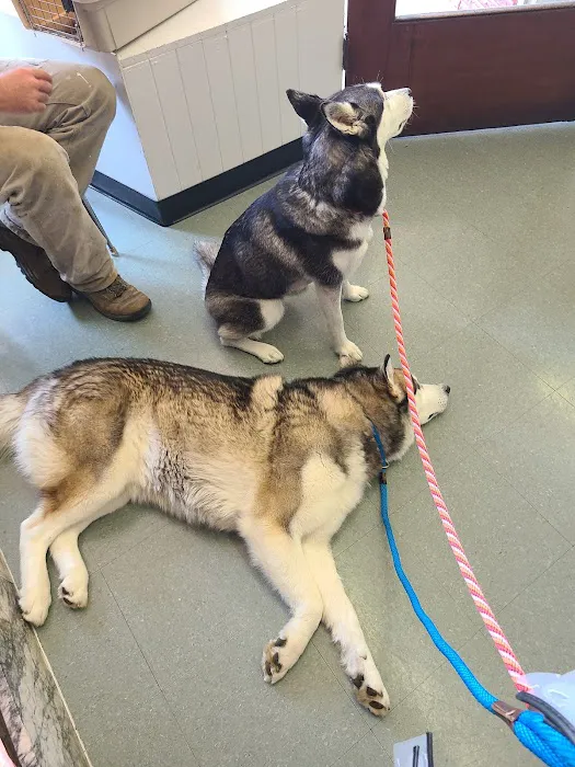 Scio Animal Clinic Picture 3