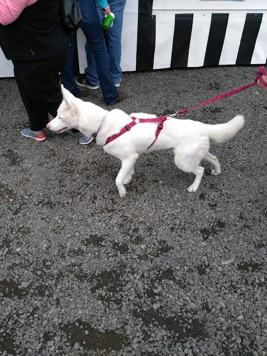 Scio Animal Clinic Picture 5