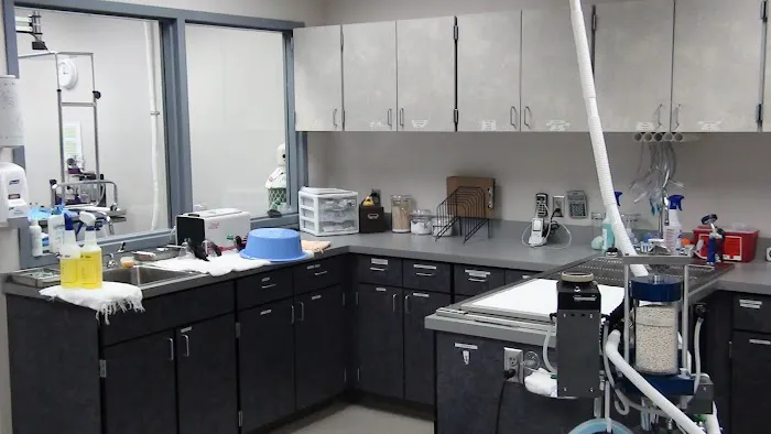 Oregon Humane Society Salem Veterinary Clinic Picture 1