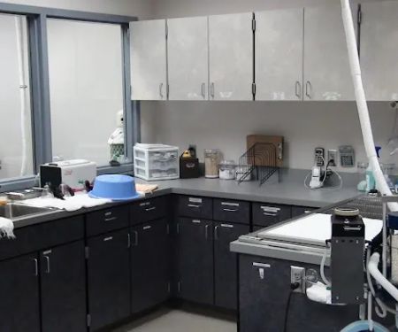 Oregon Humane Society Salem Veterinary Clinic