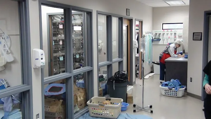 Oregon Humane Society Salem Veterinary Clinic Picture 6