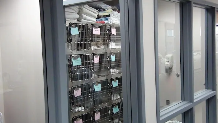 Oregon Humane Society Salem Veterinary Clinic Picture 7