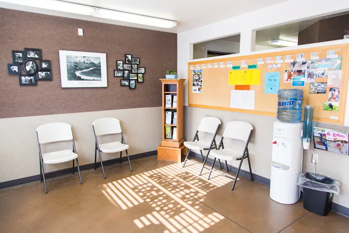The Pet Clinic Picture 3