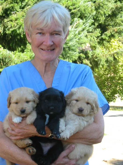Hoof & Paw Veterinary Service (Dr. Jane Knoper) Picture 1