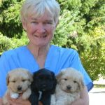 Hoof & Paw Veterinary Service (Dr. Jane Knoper)