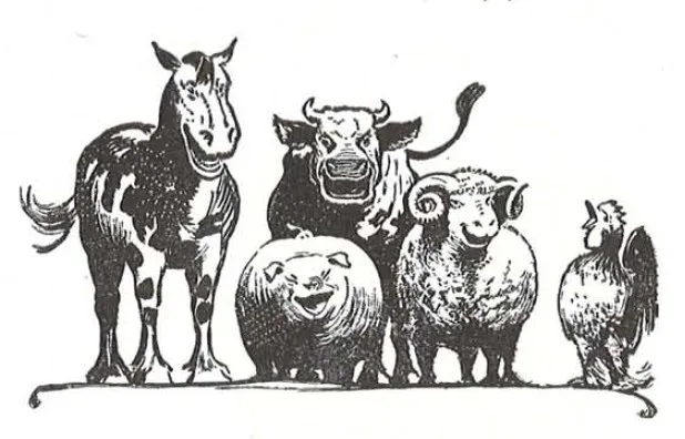 Hoof & Paw Veterinary Service (Dr. Jane Knoper) Picture 2
