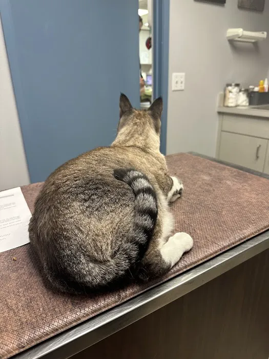 Animal Care Center Veterinary Clinic Picture 3