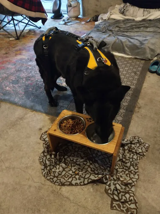 Salem Oregon Animal Rehabilitation - SOAR Picture 10