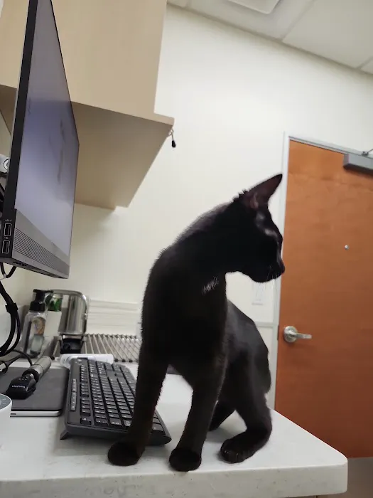 Vetco Total Care Animal Hospital Picture 9