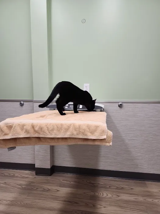 Vetco Total Care Animal Hospital Picture 7