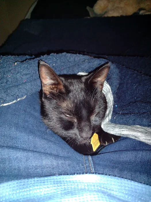 Good Neighbor Vet Picture 3