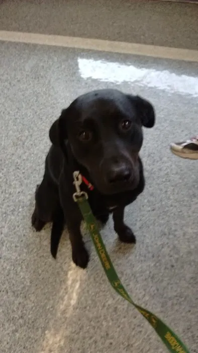 Cowlitz Animal Clinic Picture 7