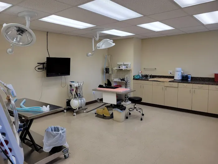 Lower Columbia Veterinary Clinic Picture 3