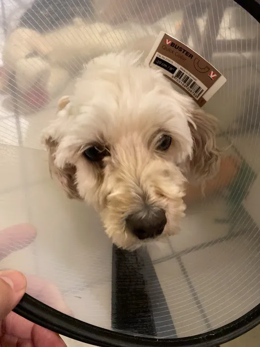 Lower Columbia Veterinary Clinic Picture 1