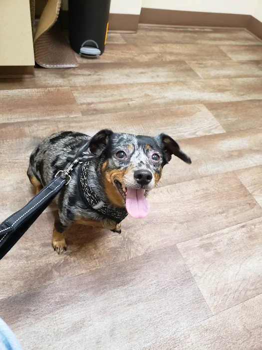 Lower Columbia Veterinary Clinic Picture 8