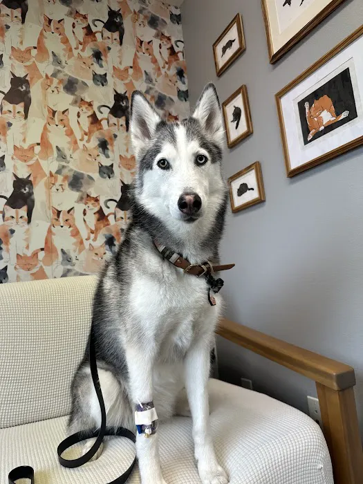 Houndstooth Veterinary Dentistry and Oral Surgery Picture 1