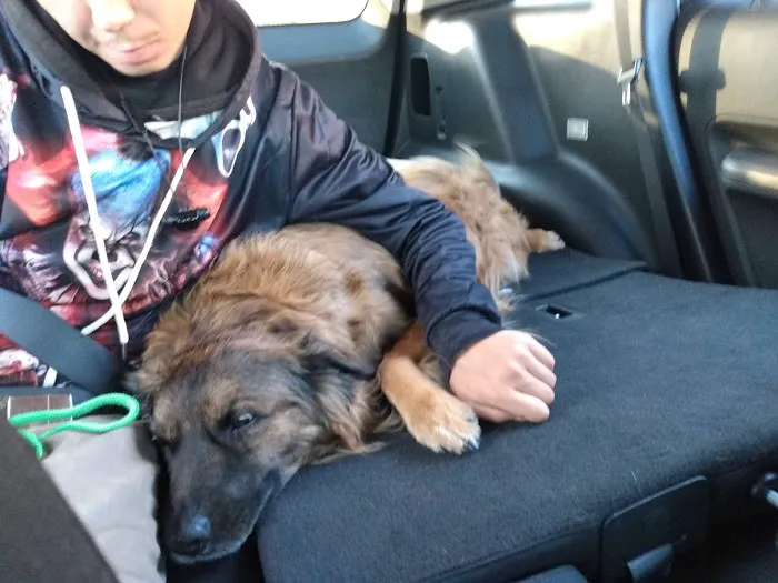 Riverside Animal Hospital Picture 5