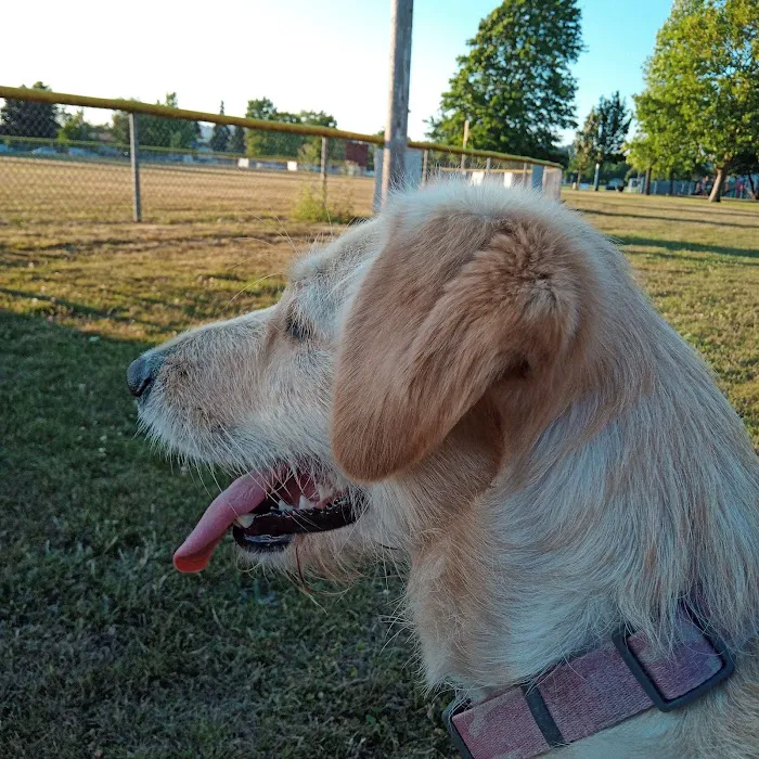 Animal Health Services Picture 10
